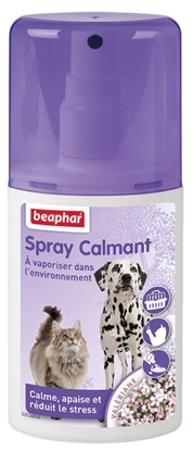 Picture of Beaphar Valerian Soothing Spray - Calm Dogs & Cats Naturally